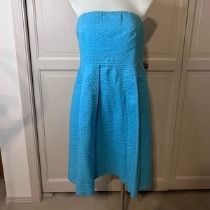 Robbins Egg Blue J.Crew Strapless Dreas